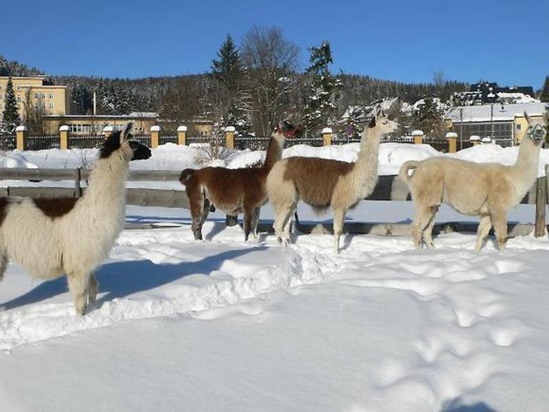 C2BD494B10113C8D6FF6A13925234FB0