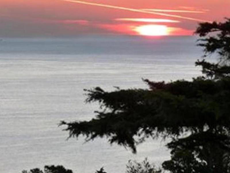 C81C2EC7E17A55FD73F3ECCAE5295292