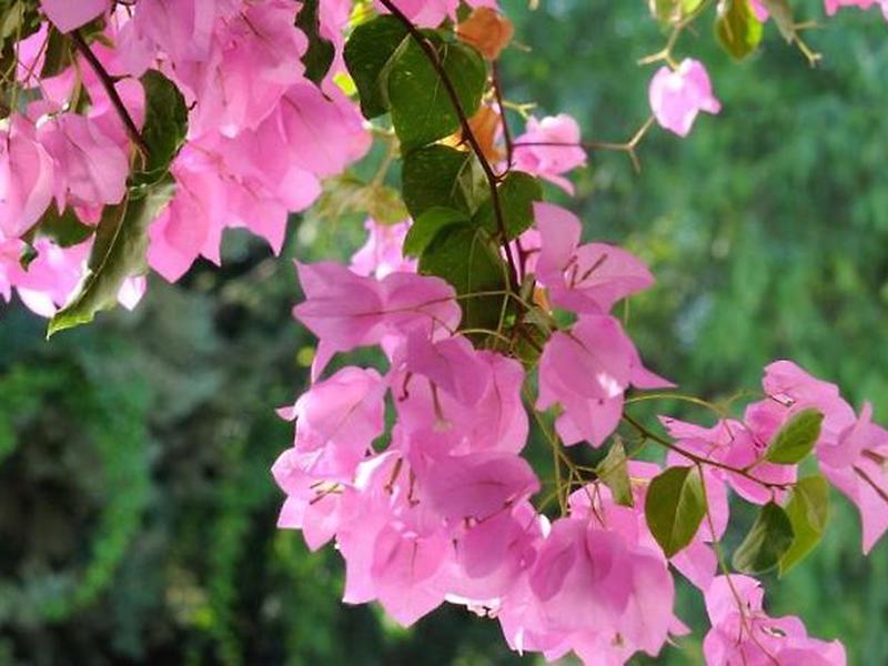 CD56F1960FDF4EF4986033A8EC3A5A67