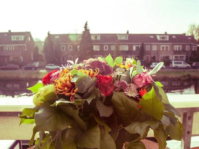 438E8569DC20CF5166A68F3ECCF2CE3D