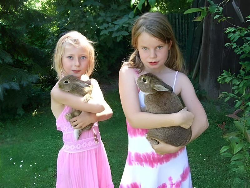 BF301E5C2D758809E18C54B529909F9D