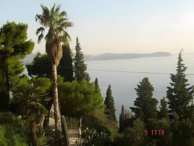 E7ED8FE58869558972A65ECE8C26A0AD