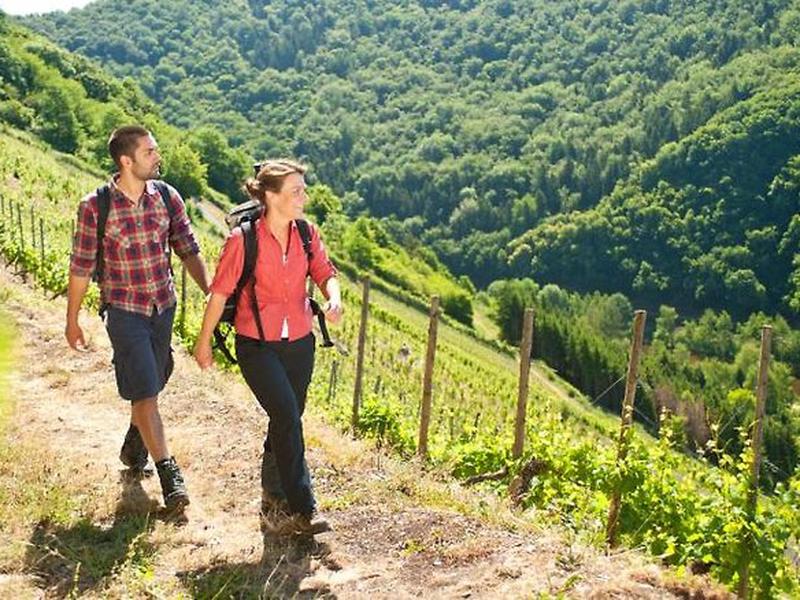 DBE788DEB6386E5AB5D280C0EB57036F