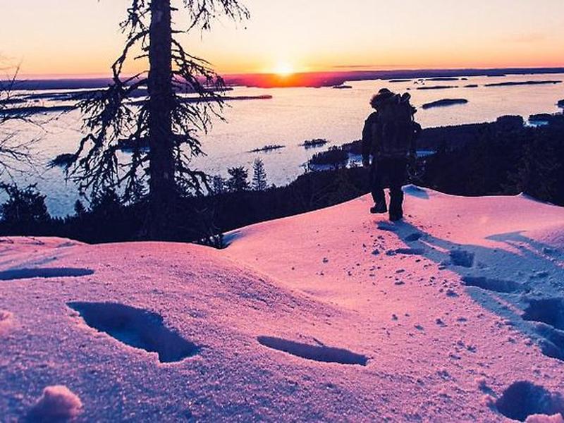 C8CCC0FBA866785C075E575F283D74FF