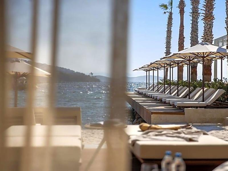 E1E708323C857C5CDF2F14B94BCA56FF