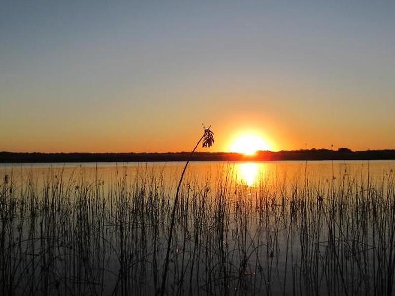 49C4CCACBA1953F4DCE872E02BA9D3F1