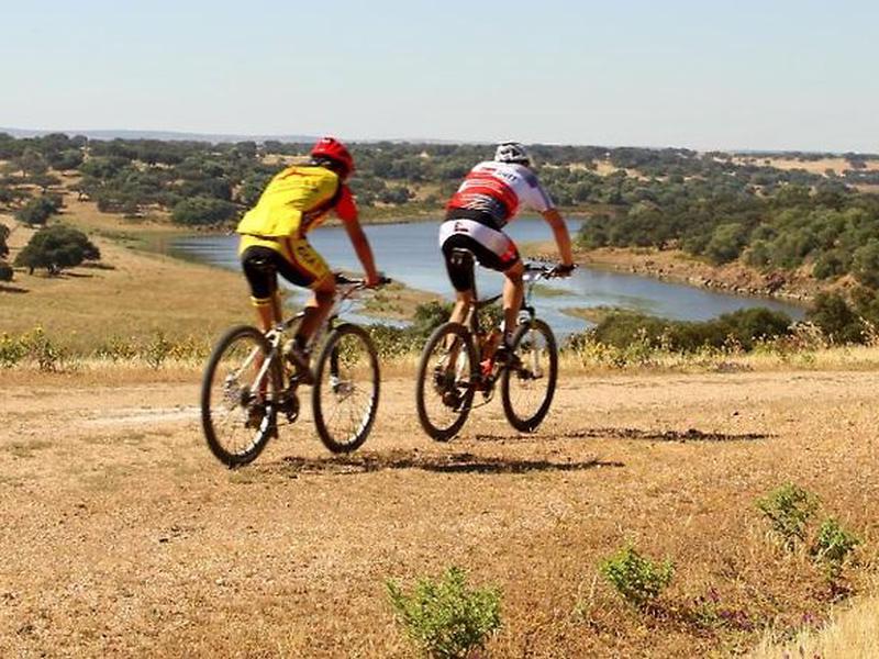 BBBB5506659398030B85D3A2894D5DC4