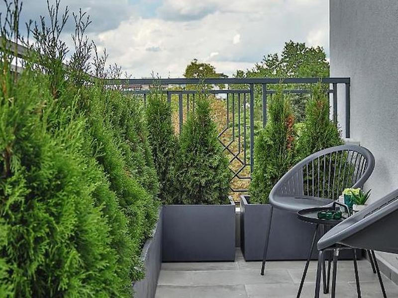 080C39C42A4A39C65FE8D4B51DC96703