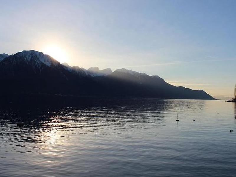 88F2424AF7692E4A5163BF53352BA01D