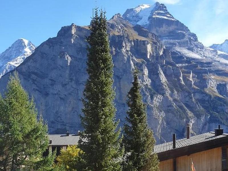 5AD7F349284C6ED69C20F8375833D4E4