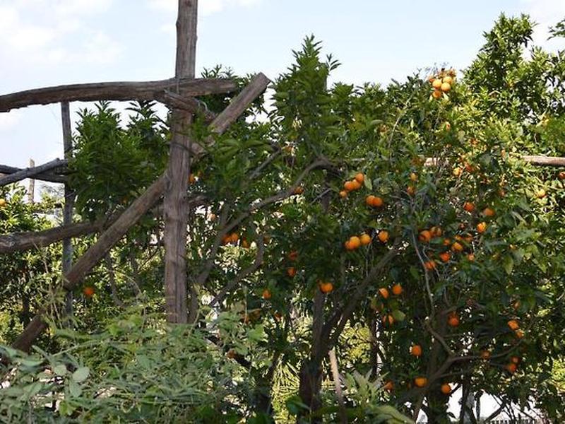 B9E5D4548DE5489D865EBA1CC2FCD0D7