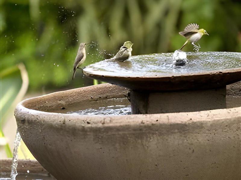 A36DF79046DAEBE462A535B88E2FD31A