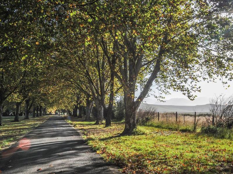 75947C79513817A9587A98E1B45F8530