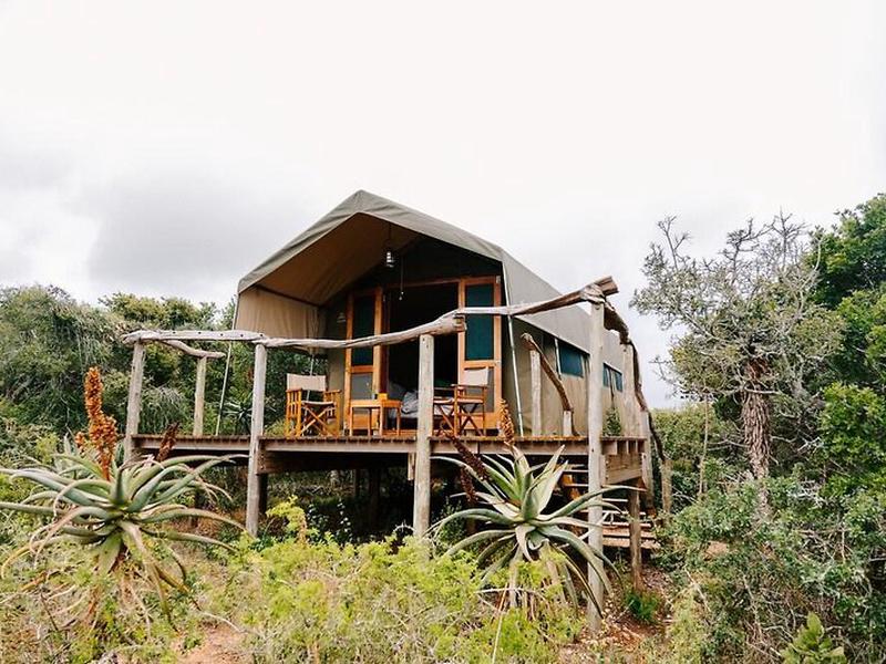 C574C46F6C1795A2EBA38725AB9D87B9