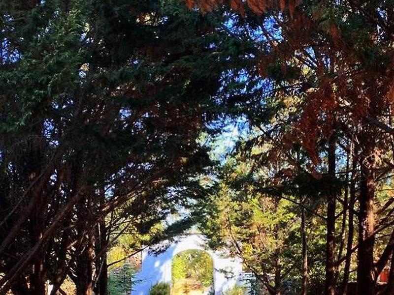 D3ADB70A62F23A79BAADA21F59A6389B