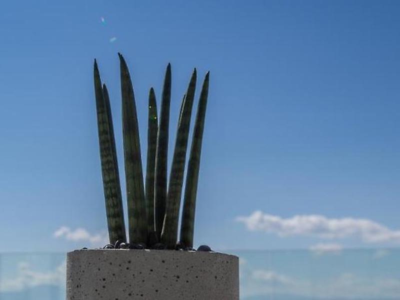 323339BC1D8D3D23C2CD38C04234CF1A