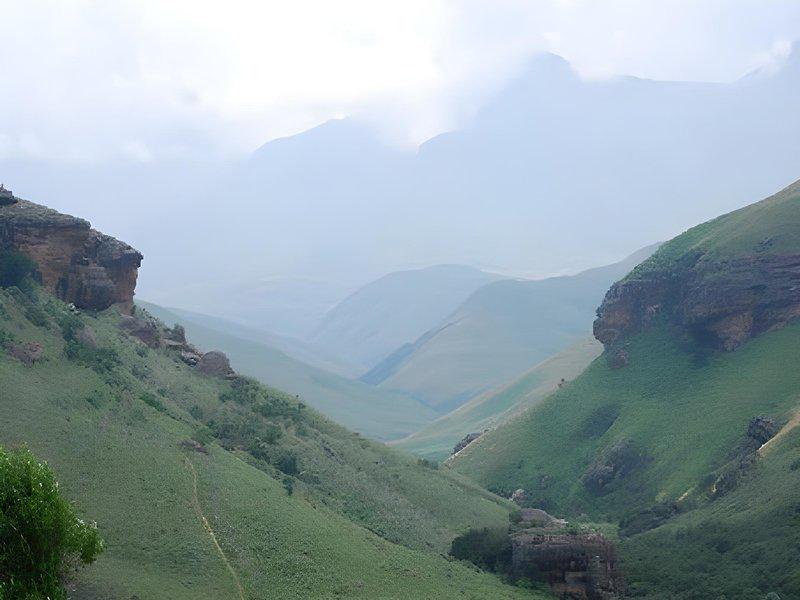 D4A331392416C9F588ED80D46233E228