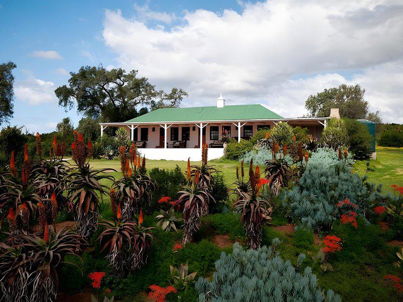 509B76096CF9721840C6DBDEFEA3BD3C