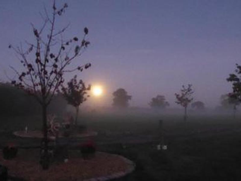 6B2685E819026145EC78E21D3B0398D7