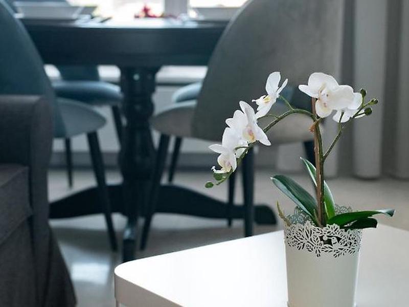 4CC6746A42DD03D9E2D00FCCD82CBF71