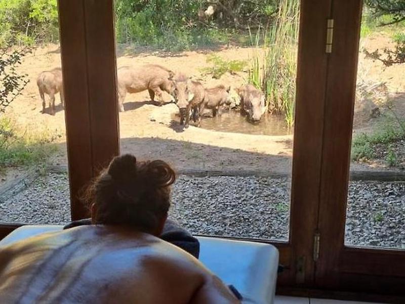 C862B10B58D3CD0A40CA0FF58A16EDF2