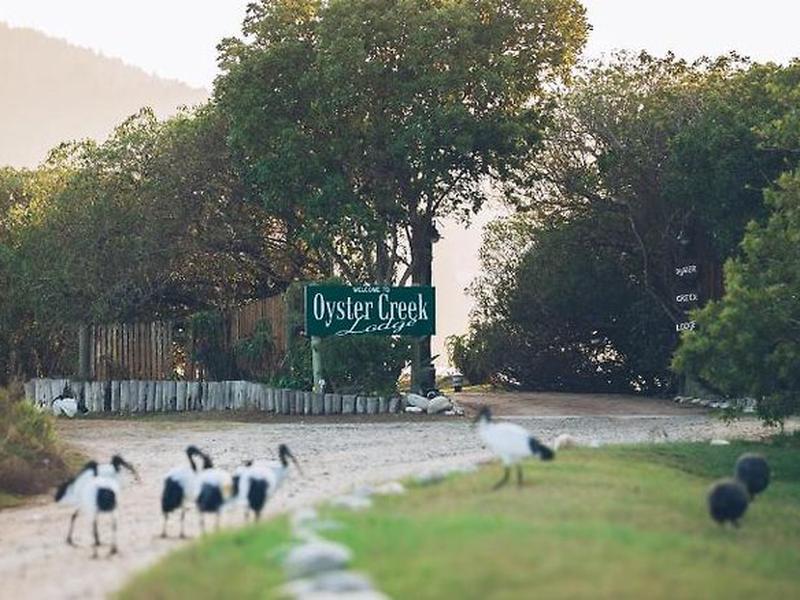 C632A4FED4BD00596FC7C433938FB9A8