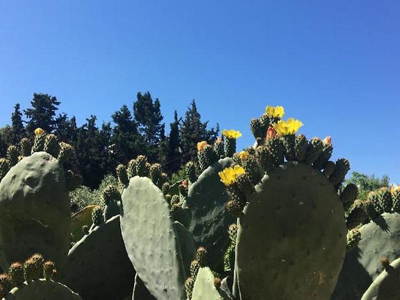 D46106C9E38D4F7436A40B6CFB9D0D12