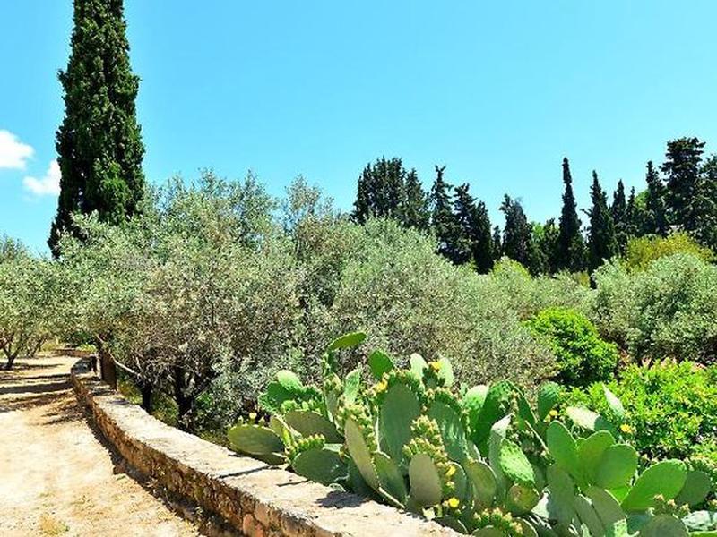 B3E7244CAF756FB2DB5AE61DEAF69514