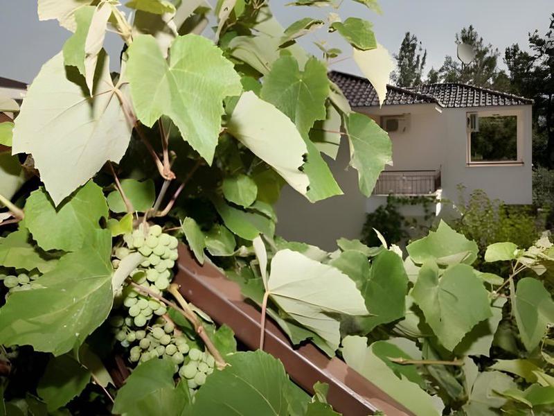 A060E7F25CD1278957D9477F6F75C48C