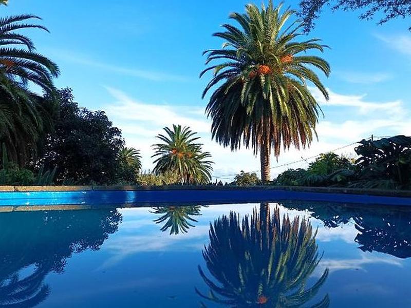 96973B314DDF1B373E2571720DA92B41