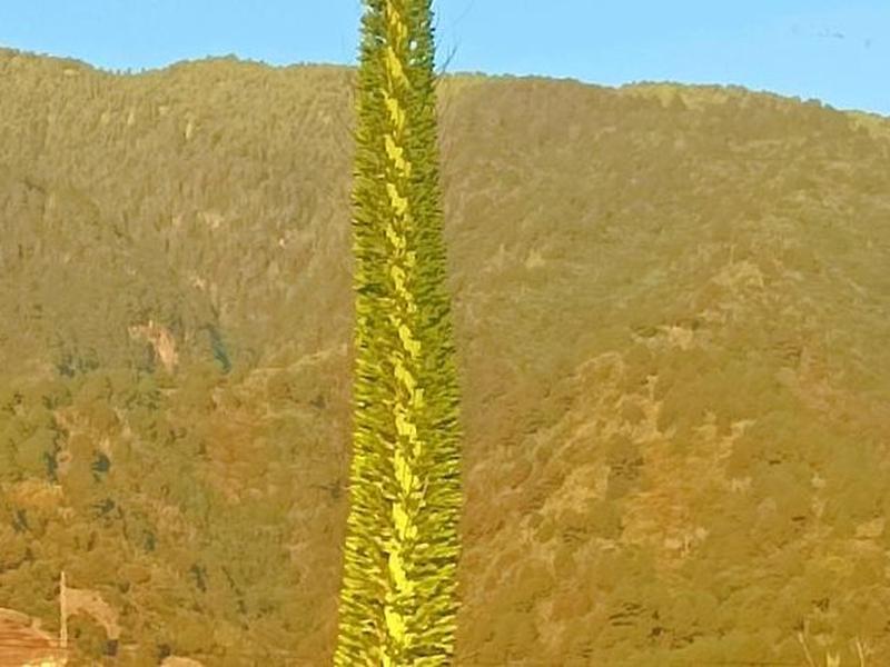 1104209669CBEBB7A26F76D02FA3005F