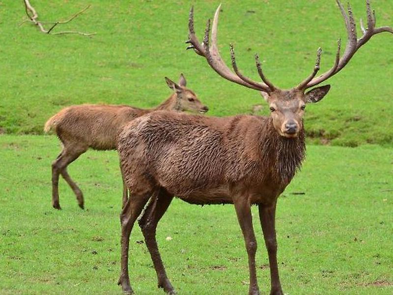 763EB88E2A3133564F402D66E8183E6F