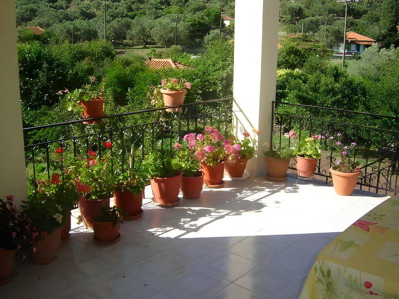 BCA8D61D2A74D36F691FCFB1A16269DD