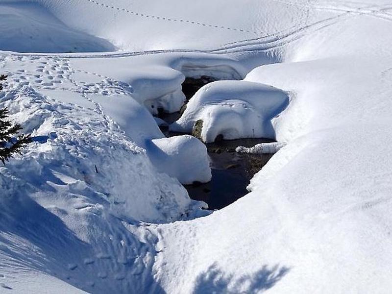 B06FD60775CB1CA25ADD85F383E0D8E6