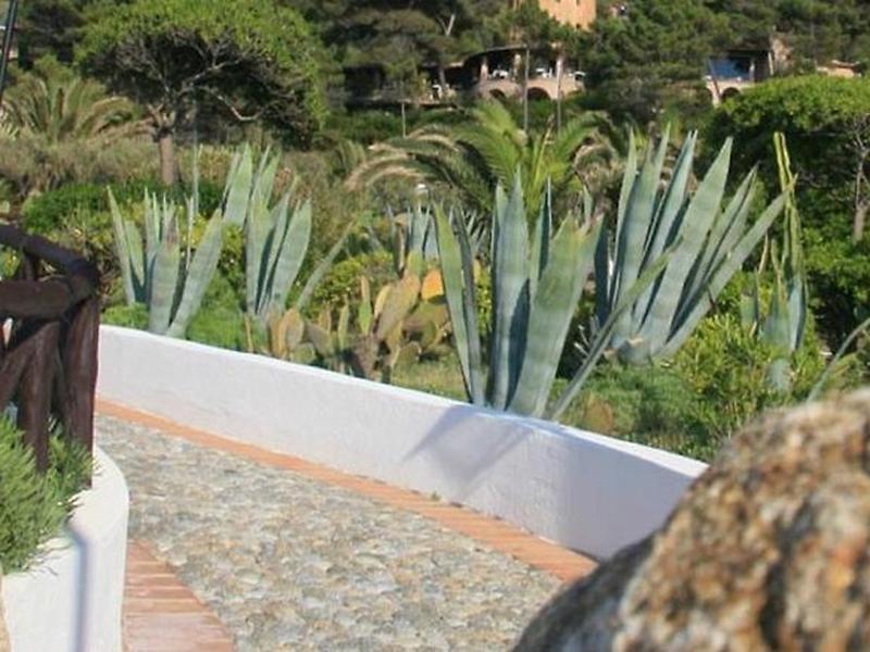 4BD261FA8CCCDB519B1AAE1F46D8591C