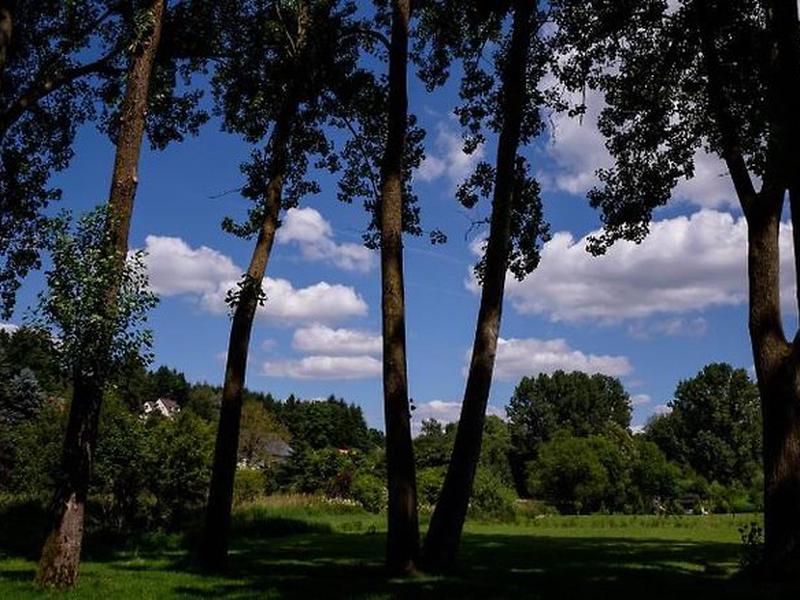 992C638741834F5A84B870DDFE6EBF44