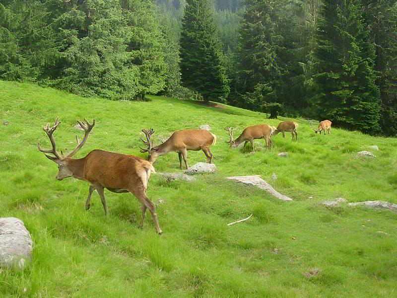 352EC3D1A60851CDB963E57C060826C4