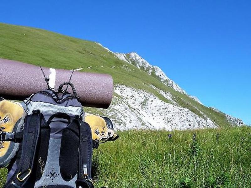 D27587DD5EF22E4275187E5E89816387