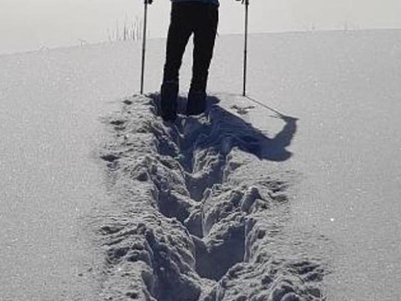 ADE17E16216DD6D0CB28A082BCDDFFF2