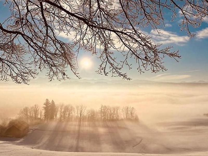 CA4E5B71816D4526716A654ED15CCCF1