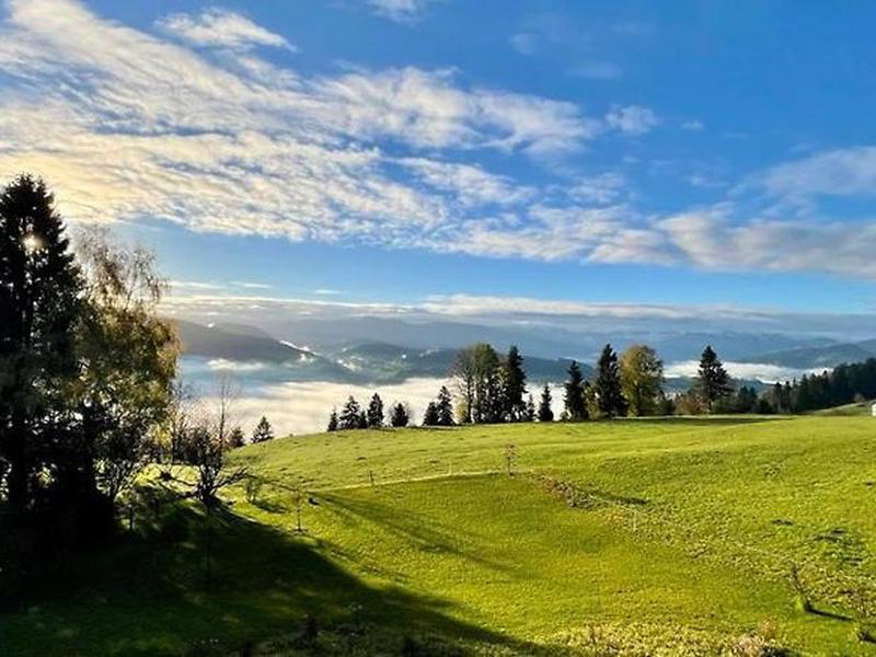 D3FFB36A9E060AB8D7201D49476E1FC5