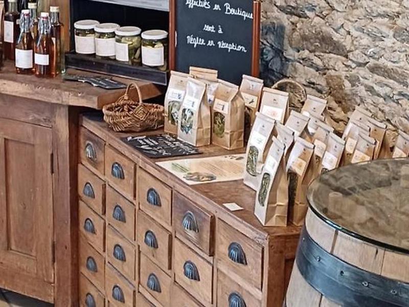 259C97BB3AD2F3E4FB7584C9D6DE3A84