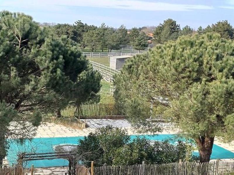 A6BF7482685BA87481E434D6B870D24B