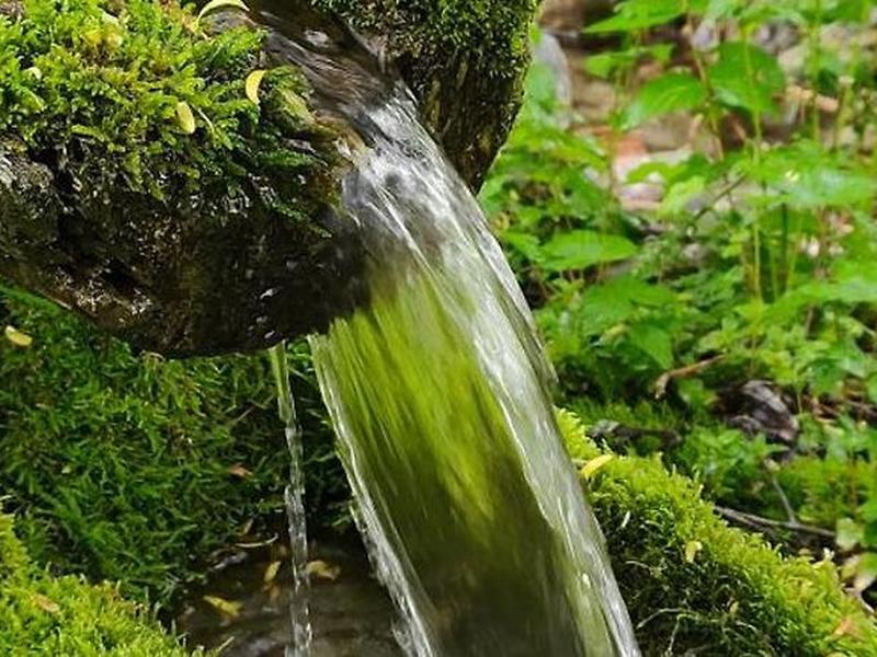 852C947FB6D95587C1D43D924204ACE3