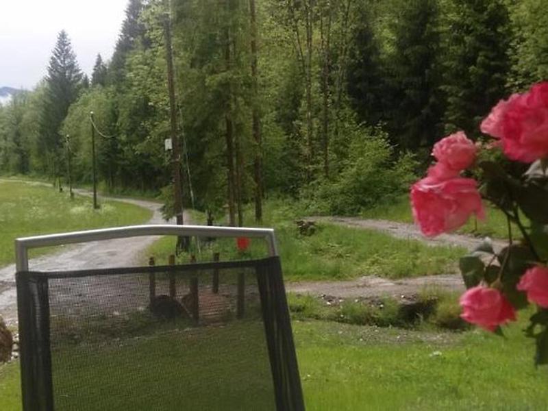 8A1ED9D9E9E0D53002727EAC197E72BF