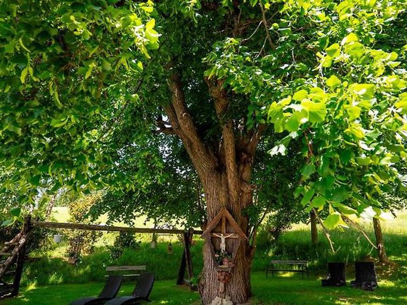 E6DED8CAB90F61E2790D8D5137025337