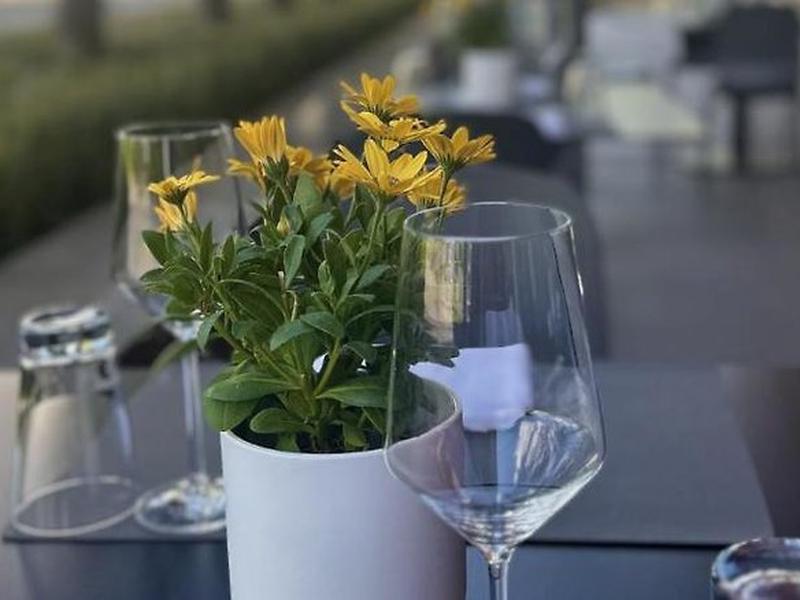 A89A1CA06E8964EC6CAC10C94D2A86AC