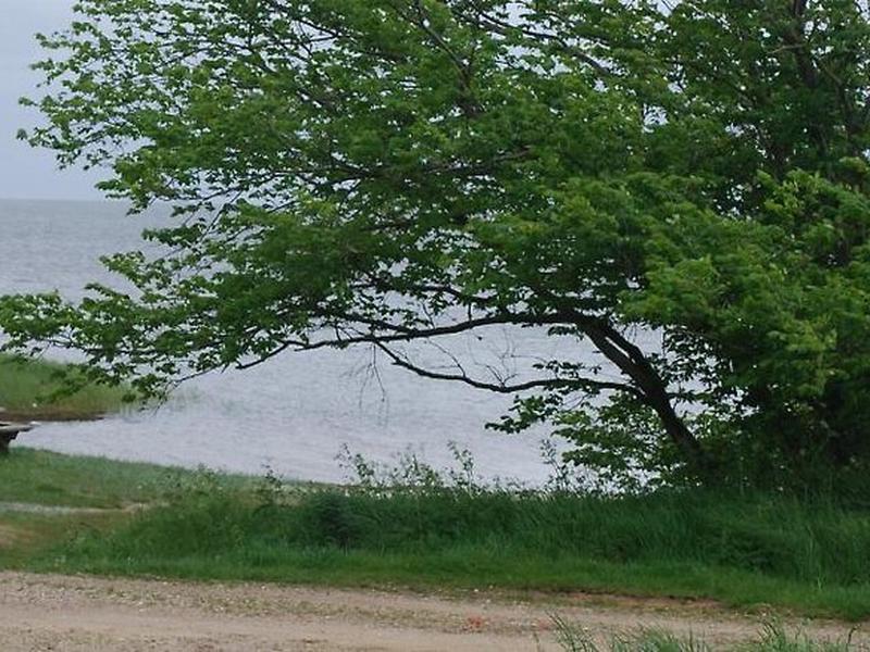 0E225865FF83FDD4FA90EFCABCE03798