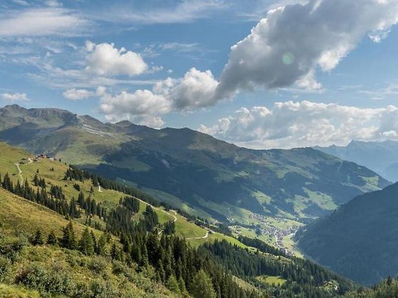 DD6254F9711F8731475C1FF943BB3CE3