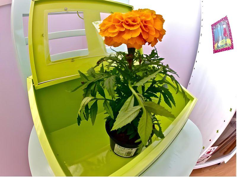 045D6043F98A464F067FF1F2A3F574F5